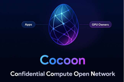 Павел Дуров запустил Cocoon — альтернативу Amazon и Microsoft