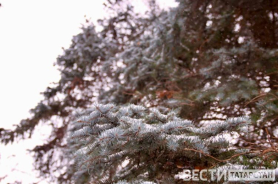 В Татарстане подвели итоги зимней переписи животных