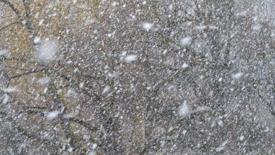 Метели и обильный снег накрывают регионы Казахстана