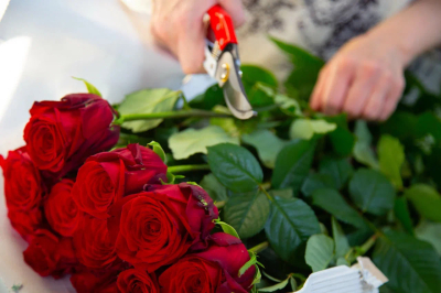 Флорист Котельникова назвала главные ошибки при выборе цветов на 14 февраля