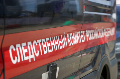 Следователи изъяли вещи из дома пропавшей в Смоленске девочки