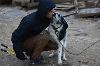 Кинолог заявил о смертельной опасности некоторых цветов для питомцев