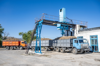 В области Жетысу продолжается уборка свеклы