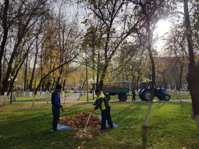 Волонтеры и молодежь Шымкента наводят порядок в парках