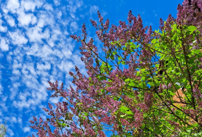 Метеоролог рассказала, какой будет погода в Москве на ближайшей неделе