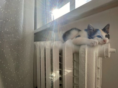 Мэр призвал не спешить с отключением отопления