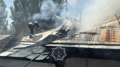 Сложное возгорание частного дома тушили огнеборцы в Алматы