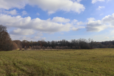 В Пензенской области вводят режим ЧС: гибнут озимые