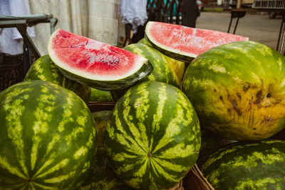 Точки на Пушкина, в Сидоровке и у стадиона &laquo;Строитель&raquo; не привлекли сезонный бизнес