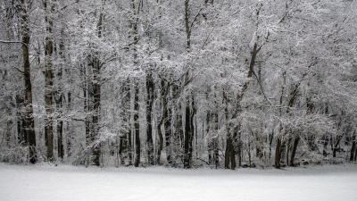 Казахстан накрыли снегопады и метели