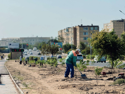 В Актау возле ботанического сада высадили 250 деревьев