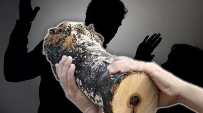 Полемика от полена