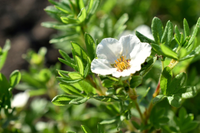 Приметы 20 февраля &mdash; День Луки: магия Могущницы и поминание усопших