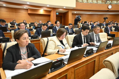 Сенат вернул в мажилис законопроект о культуре, образовании и семье