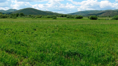 Чеченцы в восторге от красот Восточного Казахстана