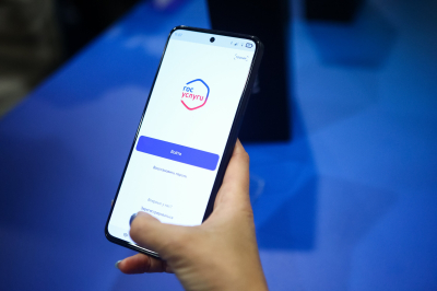 Юрист Хаминский посоветовал поставить самозапрет на кредиты в &laquo;Госуслугах&raquo;