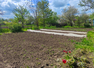 Садовод Фурсов заявил, что за майские на даче можно защитить деревья