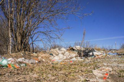 Стало известно, сколько свалок ликвидируют в лесах Нижегородской области