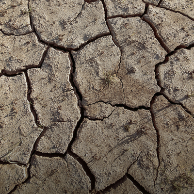 «По масштабу хуже, чем военные действия»: Как глобальное потепление отразится на Казахстане